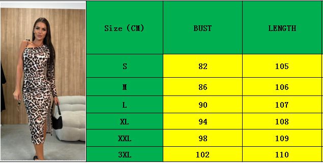 2024temu Leopard Print off-Shoulder Long Sleeve Split Slim Fit Dress